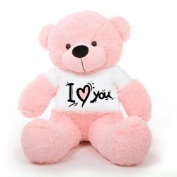 I Love You T-shirt Teddy Bears